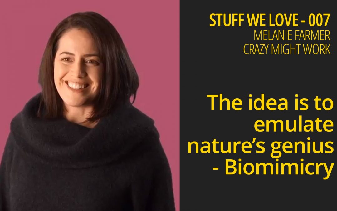 The idea is to emulate nature’s genius – Biomimicry – Stuff We Love 007 – Melanie Farmer